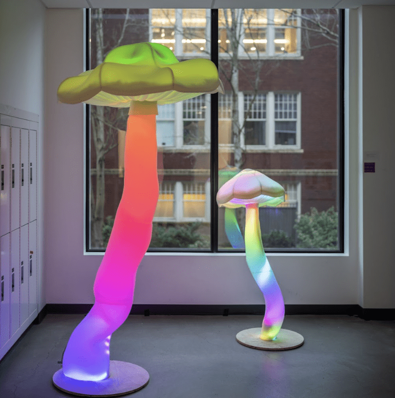 In the corner of a room, in front of a window, are two large sculptures of mushrooms. One mushroom is double the height of the first. The mushrooms are glowing in rainbow colors.