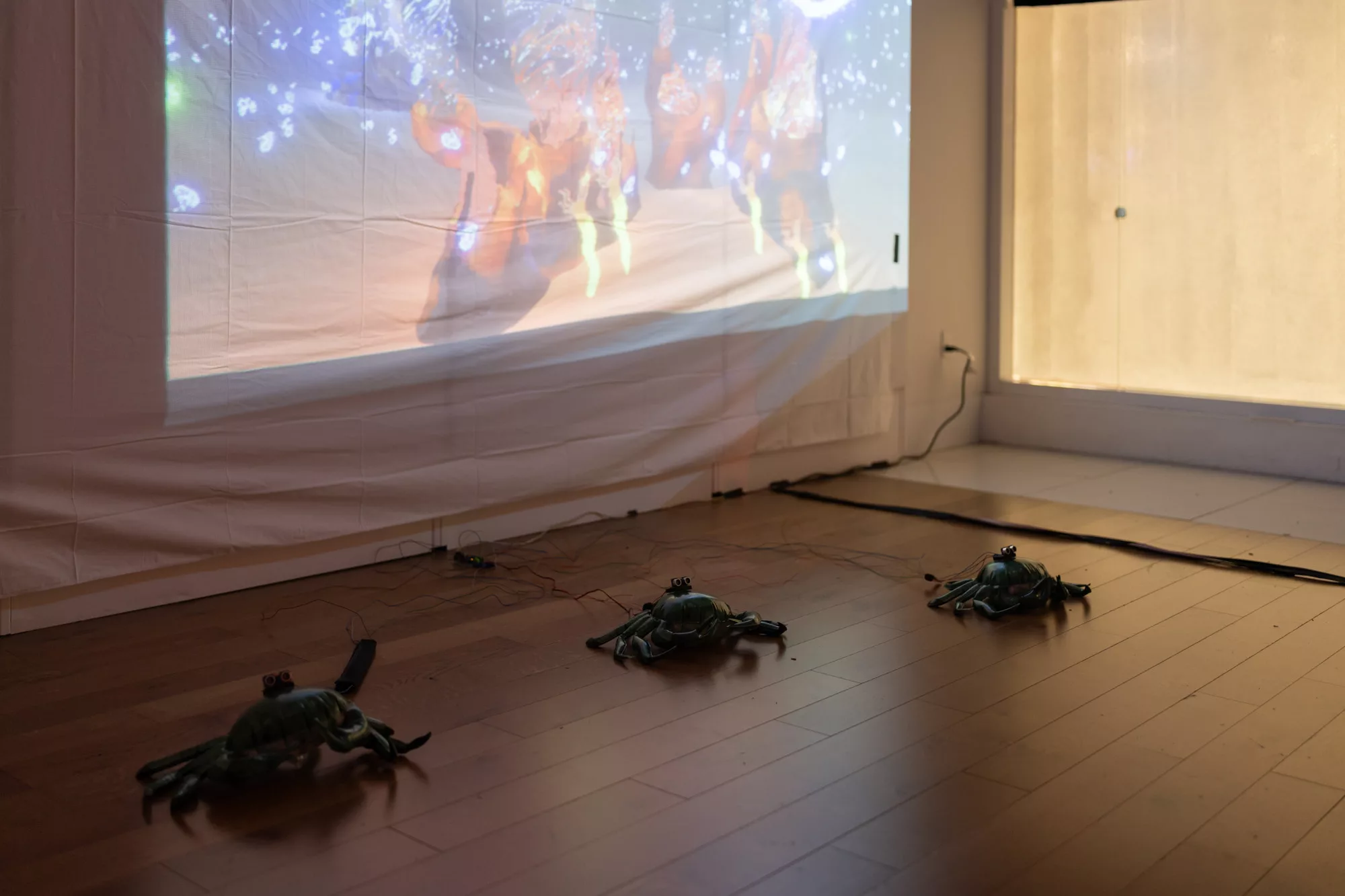 An abstract, low contrast video is projected onto a sheet on a wall. Below the video are three sculptures of crabs, each approximately 1.5 feet wide.